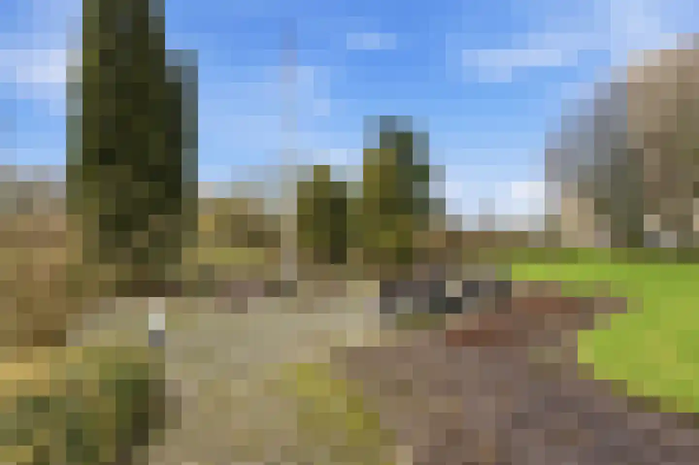 Kloosplantsoen 349 Ridderkerk thumbnail 36