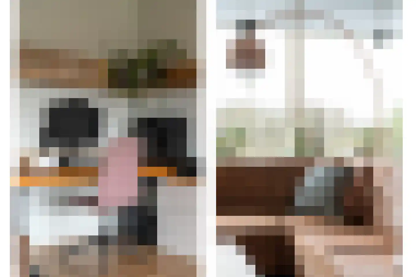 Kloosplantsoen 349 Ridderkerk thumbnail 6