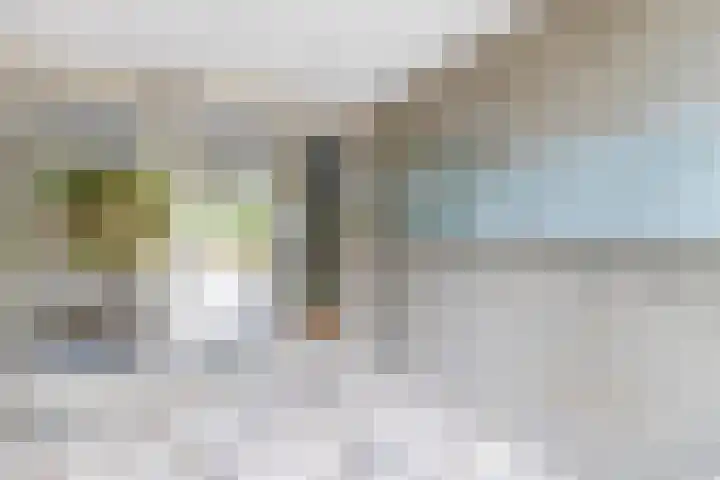 Kloosplantsoen 387 Ridderkerk thumbnail 10