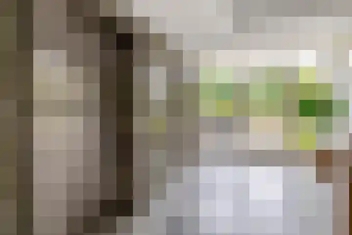 Kloosplantsoen 387 Ridderkerk thumbnail 11