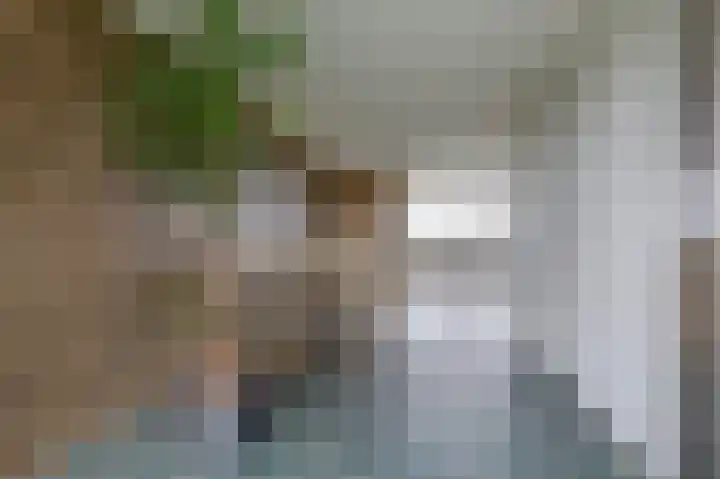Kloosplantsoen 387 Ridderkerk thumbnail 13