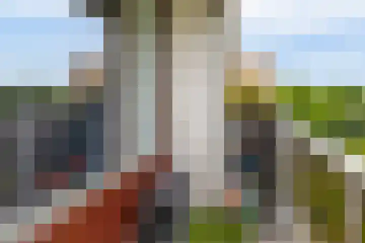 Kloosplantsoen 387 Ridderkerk thumbnail 28