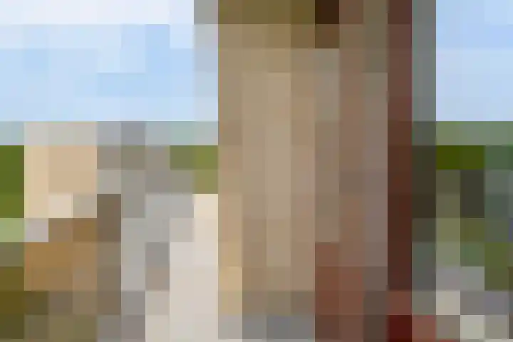 Kloosplantsoen 387 Ridderkerk thumbnail 29