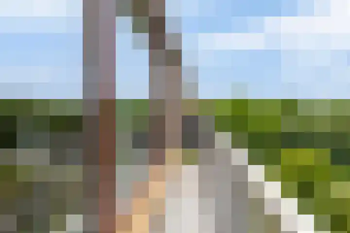 Kloosplantsoen 387 Ridderkerk thumbnail 30
