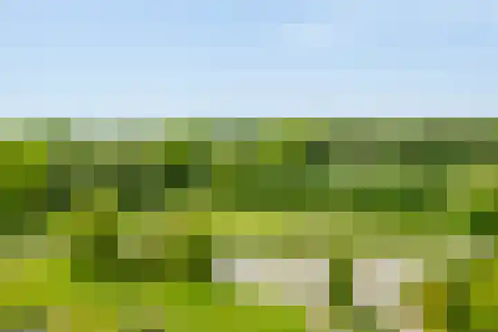 Kloosplantsoen 387 Ridderkerk thumbnail 31