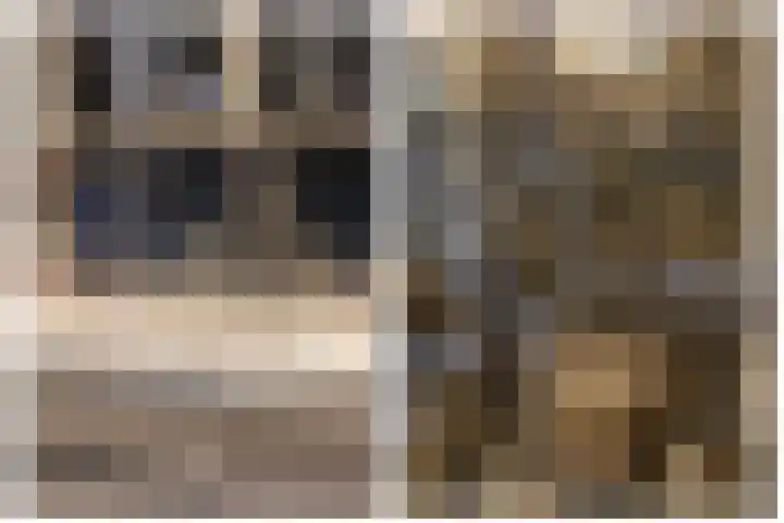 Kloosplantsoen 387 Ridderkerk thumbnail 33