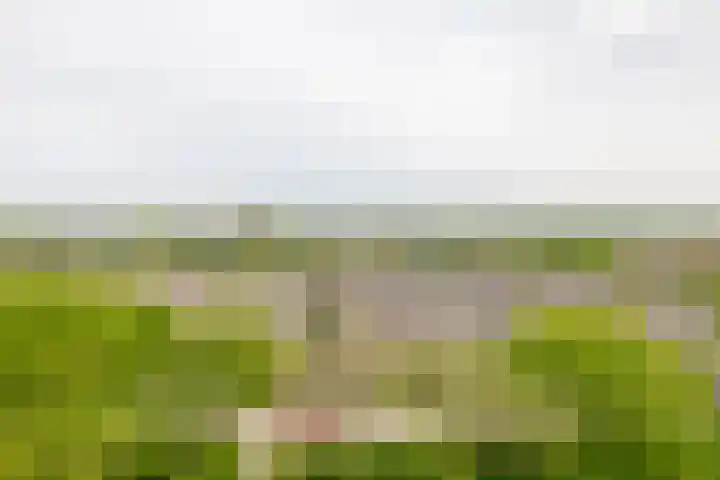 Kloosplantsoen 387 Ridderkerk thumbnail 51