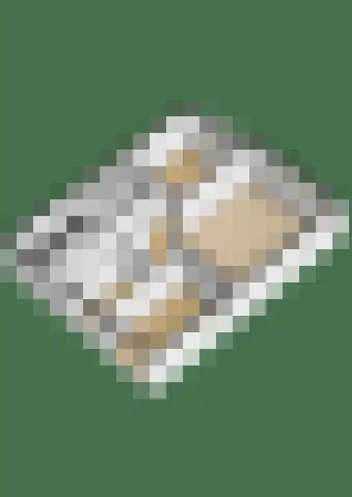 Kloosplantsoen 387 Ridderkerk thumbnail 54
