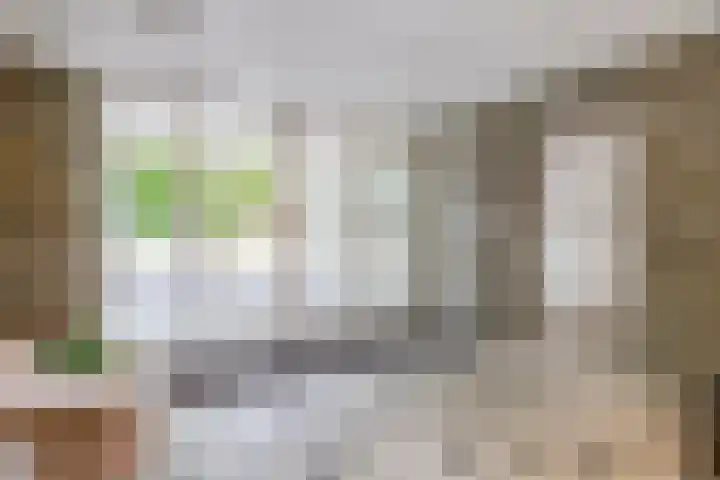 Kloosplantsoen 387 Ridderkerk thumbnail 7