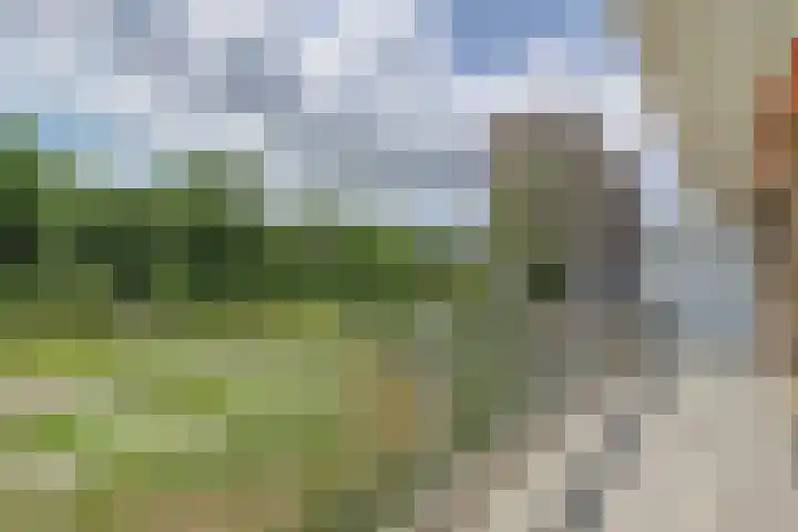 Kloosplantsoen 445 Ridderkerk thumbnail 11