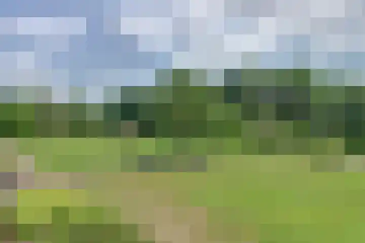 Kloosplantsoen 445 Ridderkerk thumbnail 12