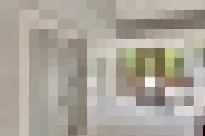 Kloosplantsoen 445 Ridderkerk thumbnail 25