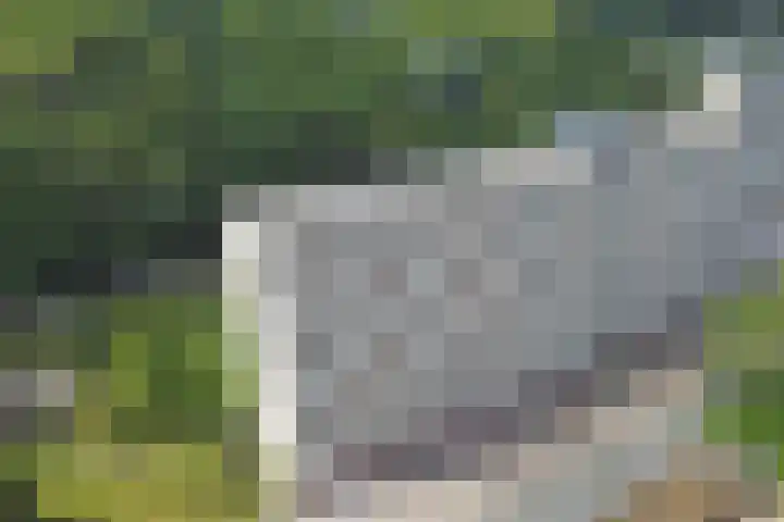 Kloosplantsoen 445 Ridderkerk thumbnail 30