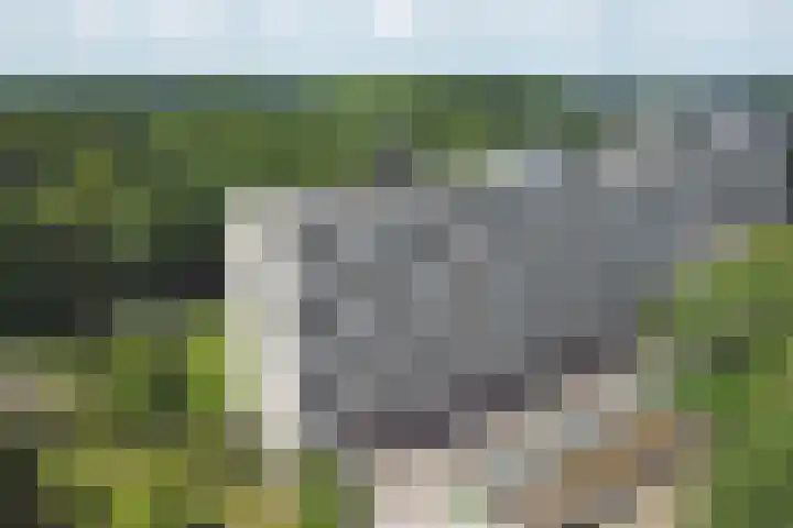 Kloosplantsoen 445 Ridderkerk thumbnail 32