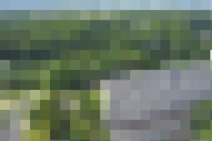 Kloosplantsoen 445 Ridderkerk thumbnail 37