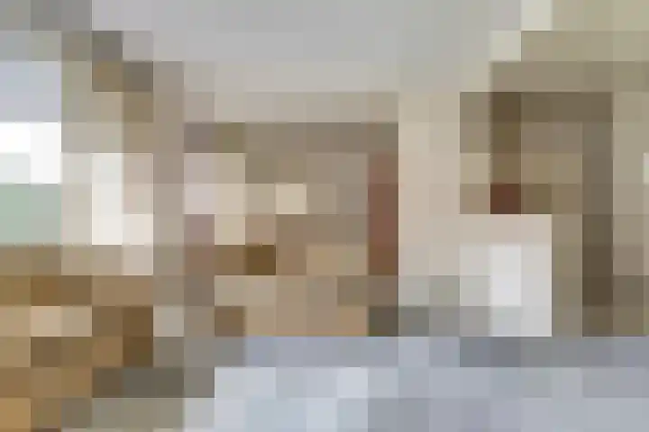 Kloosplantsoen 445 Ridderkerk thumbnail 4