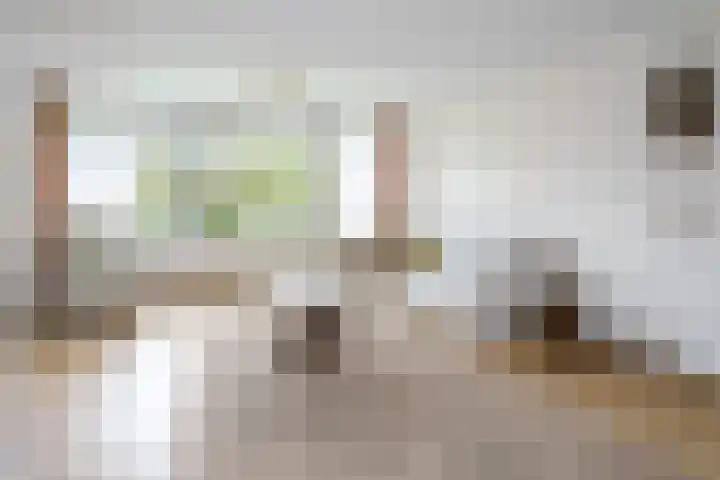 Kloosplantsoen 455 Ridderkerk thumbnail 10