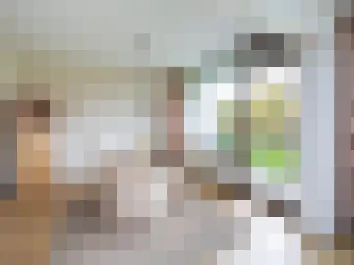 Kloosplantsoen 455 Ridderkerk thumbnail 11