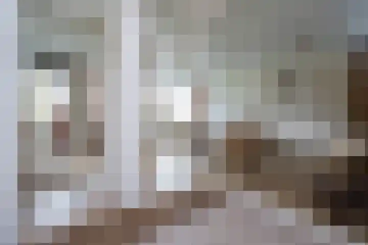 Kloosplantsoen 455 Ridderkerk thumbnail 12