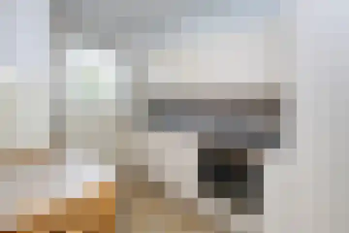 Kloosplantsoen 455 Ridderkerk thumbnail 13