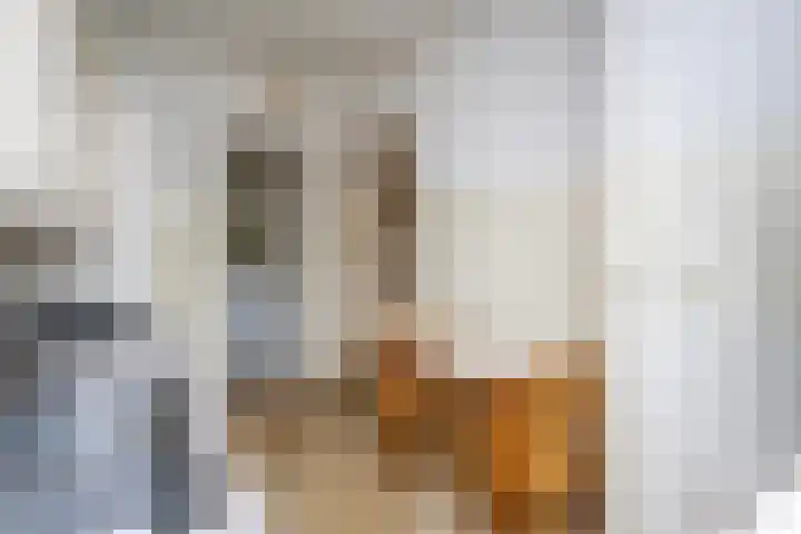 Kloosplantsoen 455 Ridderkerk thumbnail 16