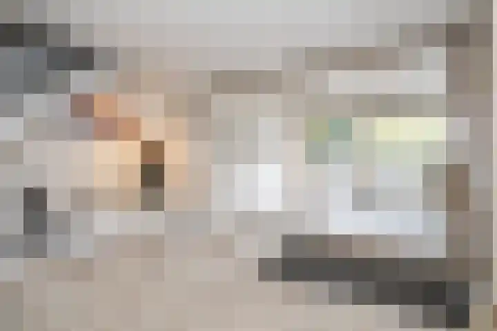 Kloosplantsoen 455 Ridderkerk thumbnail 23