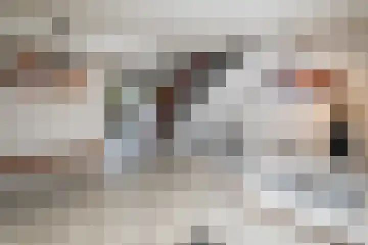 Kloosplantsoen 455 Ridderkerk thumbnail 24