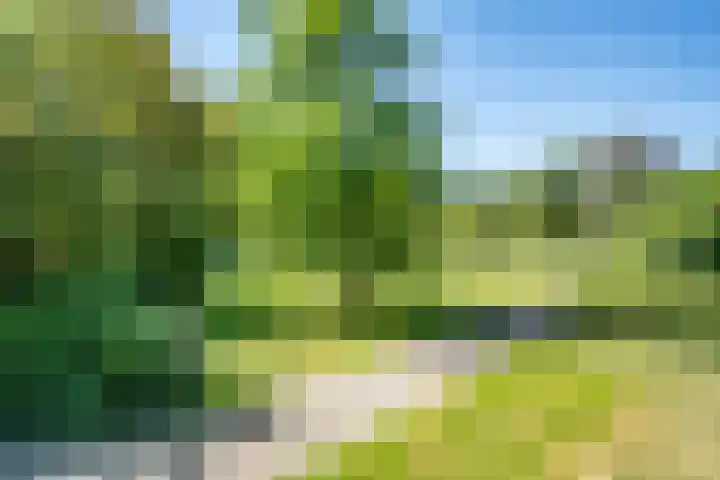 Kloosplantsoen 455 Ridderkerk thumbnail 27
