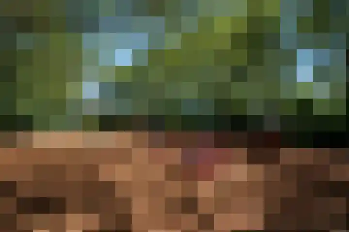 Kloosplantsoen 455 Ridderkerk thumbnail 30