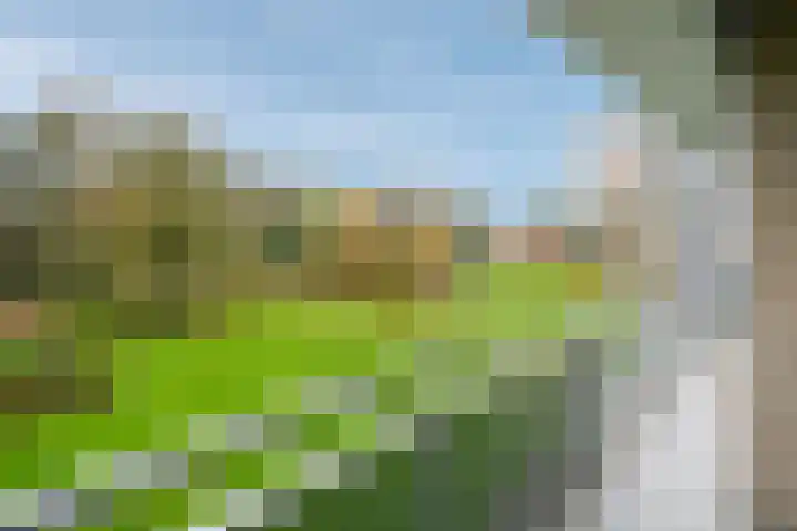 Kloosplantsoen 455 Ridderkerk thumbnail 4