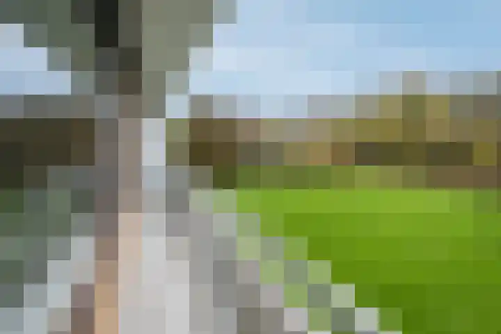 Kloosplantsoen 455 Ridderkerk thumbnail 5