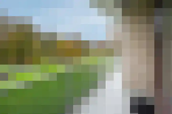 Kloosplantsoen 455 Ridderkerk thumbnail 6