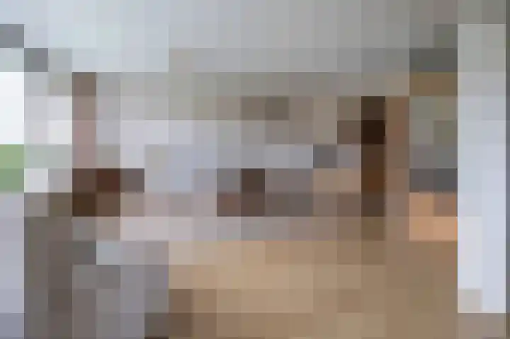 Kloosplantsoen 455 Ridderkerk thumbnail 7
