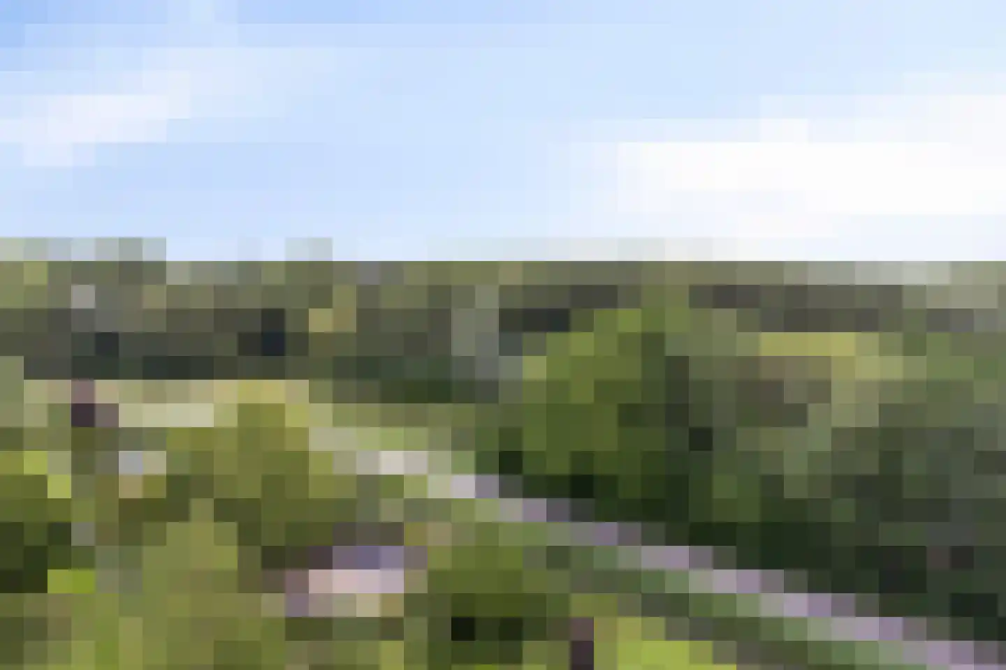Kloosplantsoen 565 Ridderkerk thumbnail 20