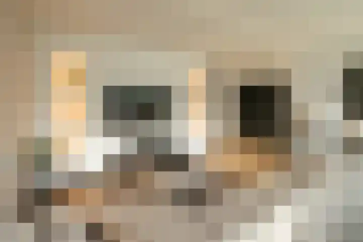Kloosplantsoen 643 Ridderkerk thumbnail 10