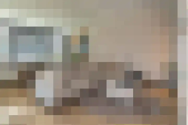 Kloosplantsoen 643 Ridderkerk thumbnail 11