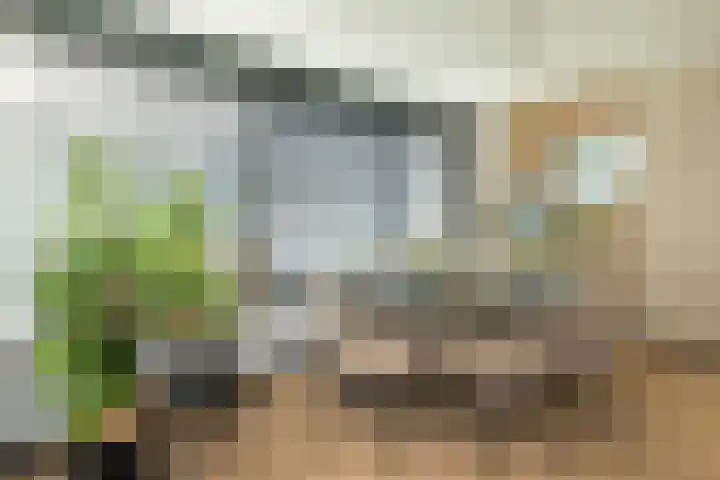 Kloosplantsoen 643 Ridderkerk thumbnail 14