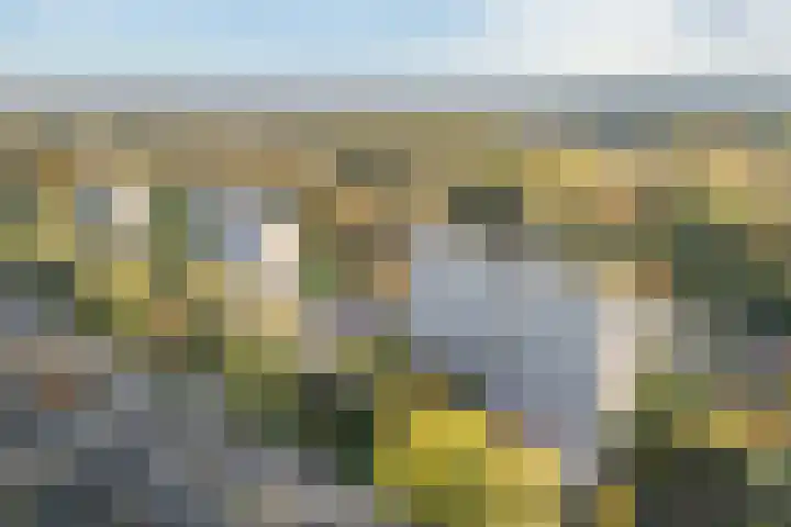 Kloosplantsoen 643 Ridderkerk thumbnail 18