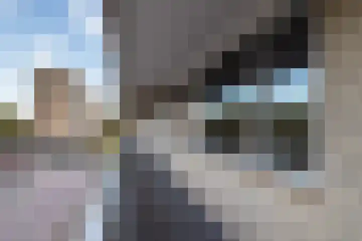 Kloosplantsoen 643 Ridderkerk thumbnail 25