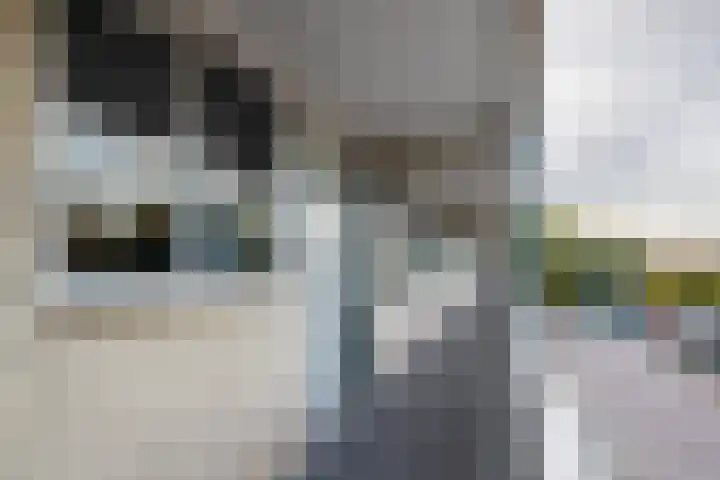 Kloosplantsoen 643 Ridderkerk thumbnail 26