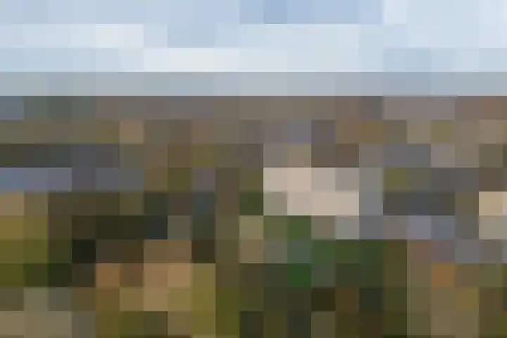 Kloosplantsoen 643 Ridderkerk thumbnail 27