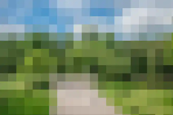 Kloosplantsoen 643 Ridderkerk thumbnail 31