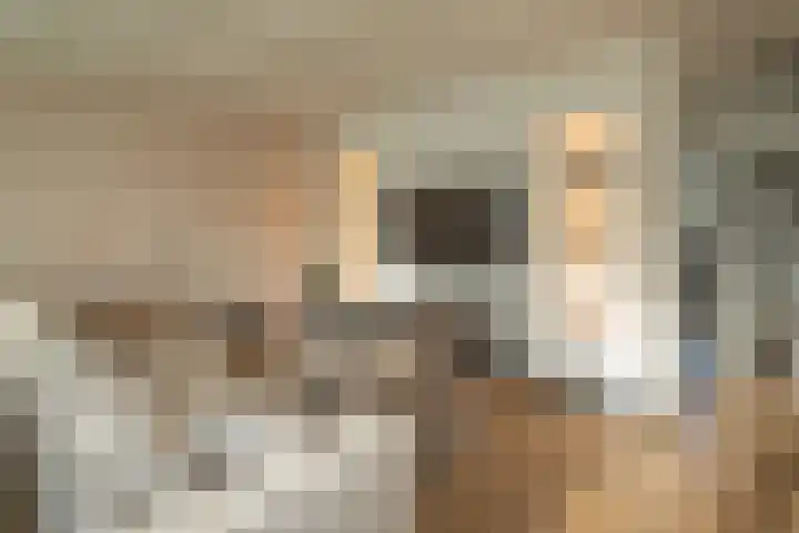 Kloosplantsoen 643 Ridderkerk thumbnail 4
