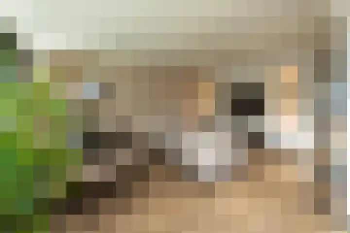 Kloosplantsoen 643 Ridderkerk thumbnail 5