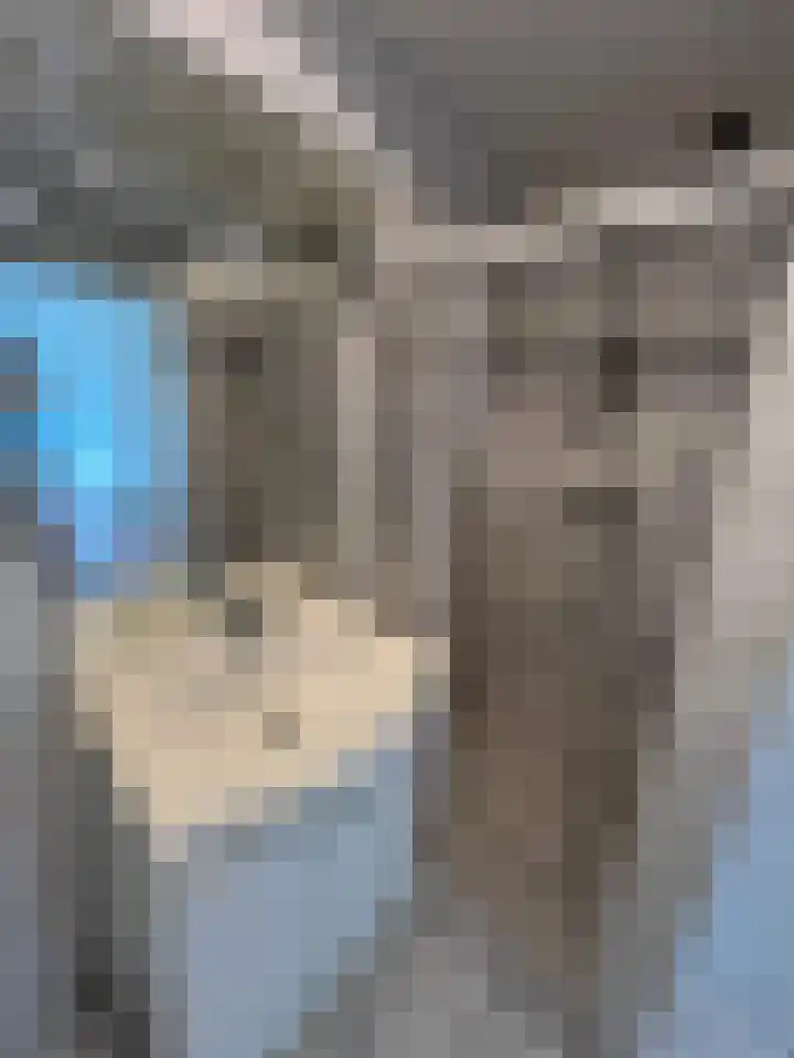 Kloosplantsoen 645 Ridderkerk thumbnail 11