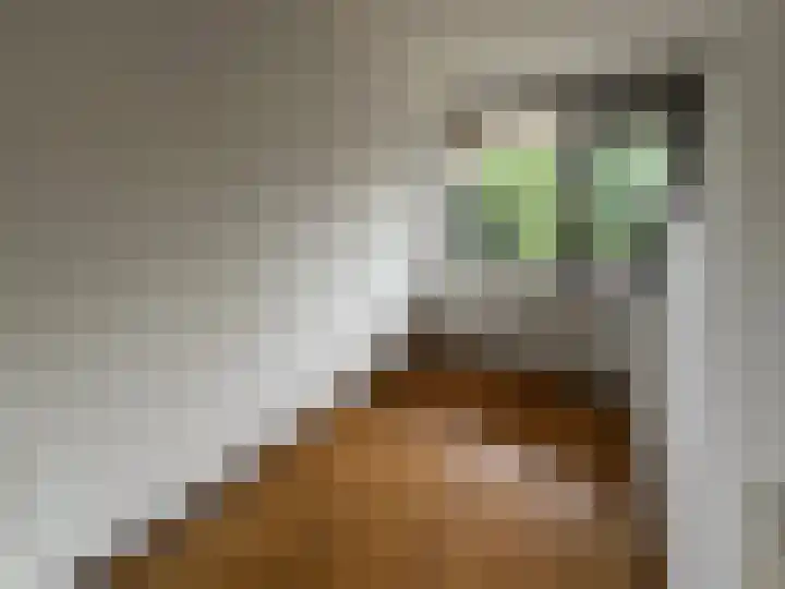 Kloosplantsoen 645 Ridderkerk thumbnail 12
