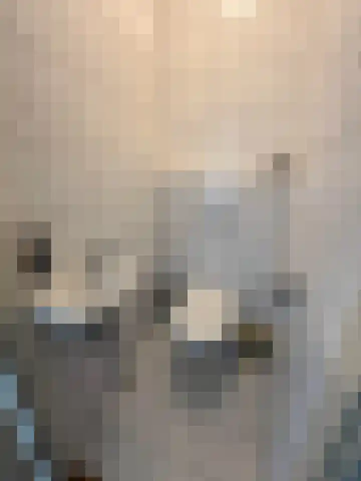 Kloosplantsoen 645 Ridderkerk thumbnail 13