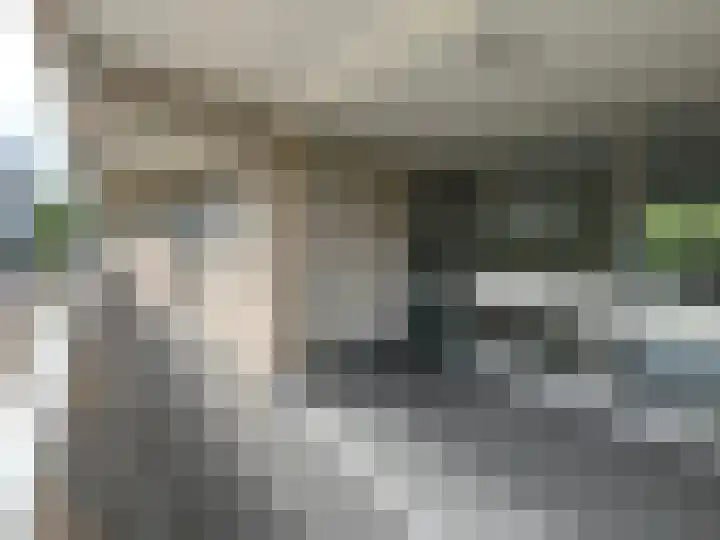 Kloosplantsoen 645 Ridderkerk thumbnail 15