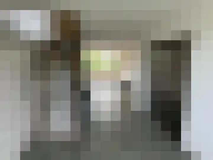 Kloosplantsoen 645 Ridderkerk thumbnail 16