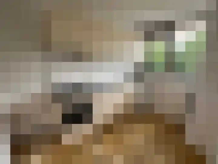 Kloosplantsoen 645 Ridderkerk thumbnail 7